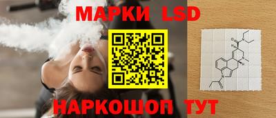 молекула духа Будённовск