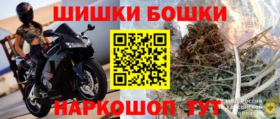 молекула духа Будённовск