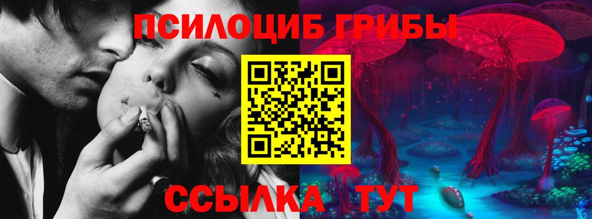 Тихвин  Псилоцибиновые грибы MAGIC MUSHROOMS  купить  сайты  Вход с VPN 
